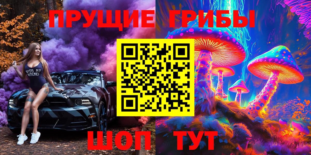 Иваново  Галлюциногенные грибы Psilocybe  Вход с VPN 