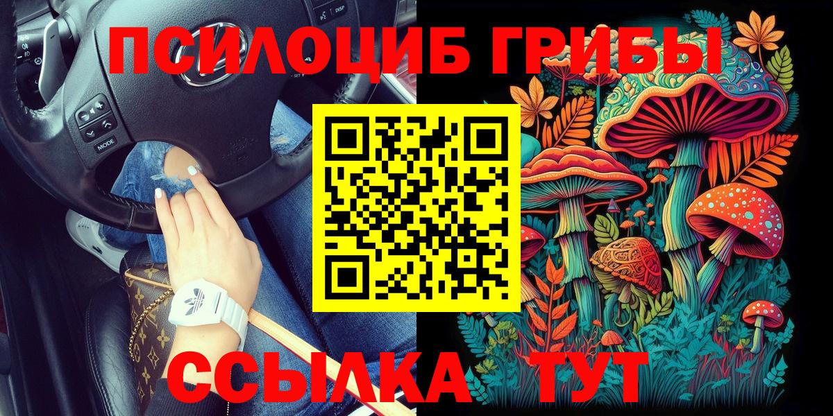 Псилоцибиновые грибы мицелий Иваново